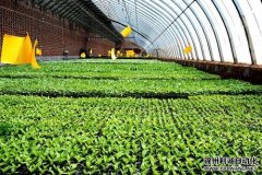 農業生產環境監測系統產品介紹