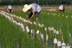 農(nóng)業(yè)氣象記錄儀監(jiān)測(cè)系統(tǒng)